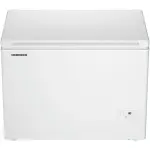 Freezer trunk LIEBHERR CFE1870-26